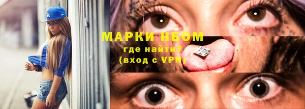 мет Алексин