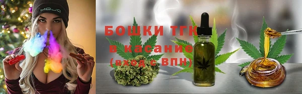 мет Алексин