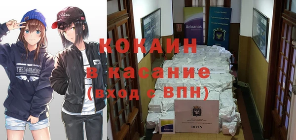мет Алексин