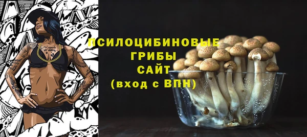 мет Алексин