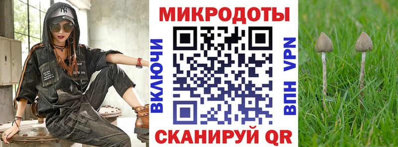 Галлюциногенные грибы Psilocybe  кракен сайт  Лахденпохья 